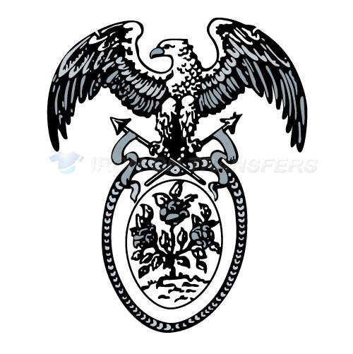 Eagles Iron-on Stickers (Heat Transfers)NO.2207